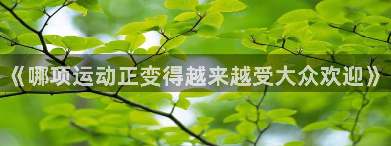 九球体育平台登录入口：《哪项运动正变得越来越受大众欢迎》