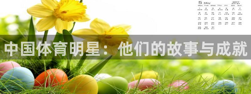 九球体育录像在线观看：中国体育明星：他们的故事与成就