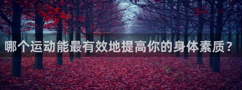 九球体育无插件直播：哪个运动能最有效地提高你的身体素质？