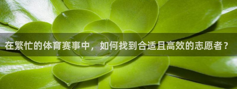 九球体育：在繁忙的体育赛事中，如何找到合适且高效的志愿者？