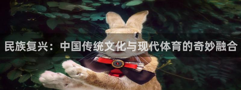 九球体育官方网站：民族复兴：中国传统文化与现代体育的奇妙融合